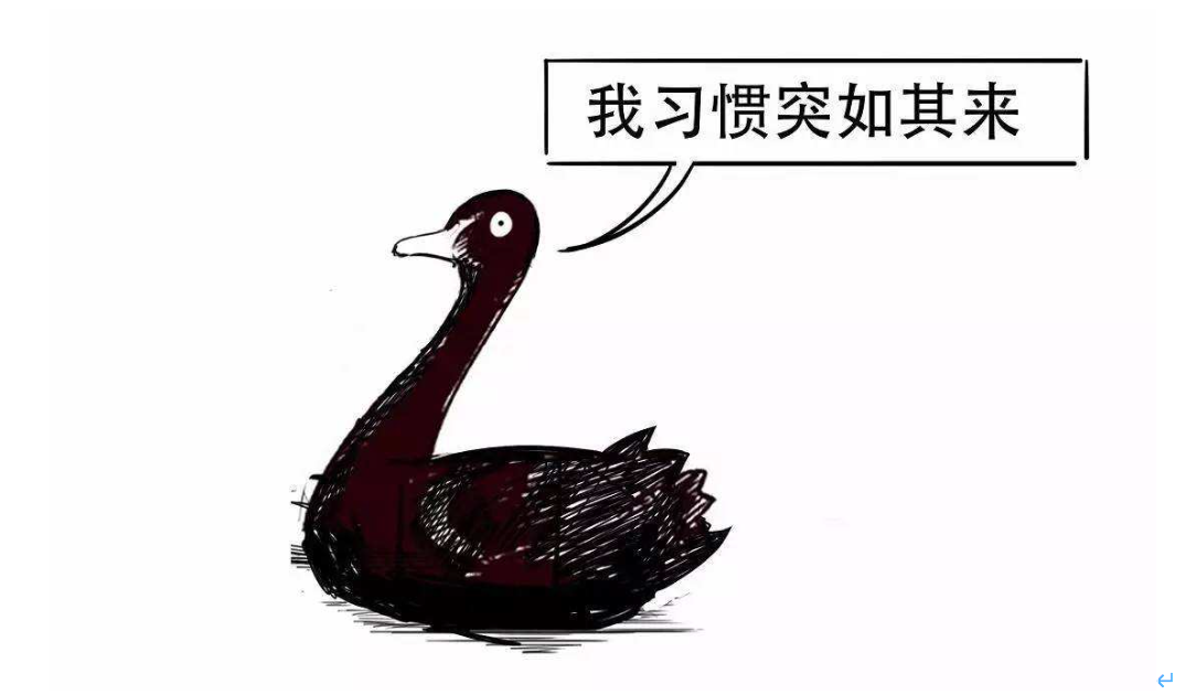 做活“水文章”丨市委书记抓乡村振兴(2025.08.11