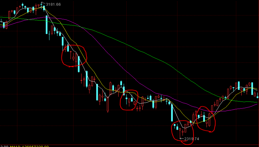 春节假期我市消费市场运行平稳有序
