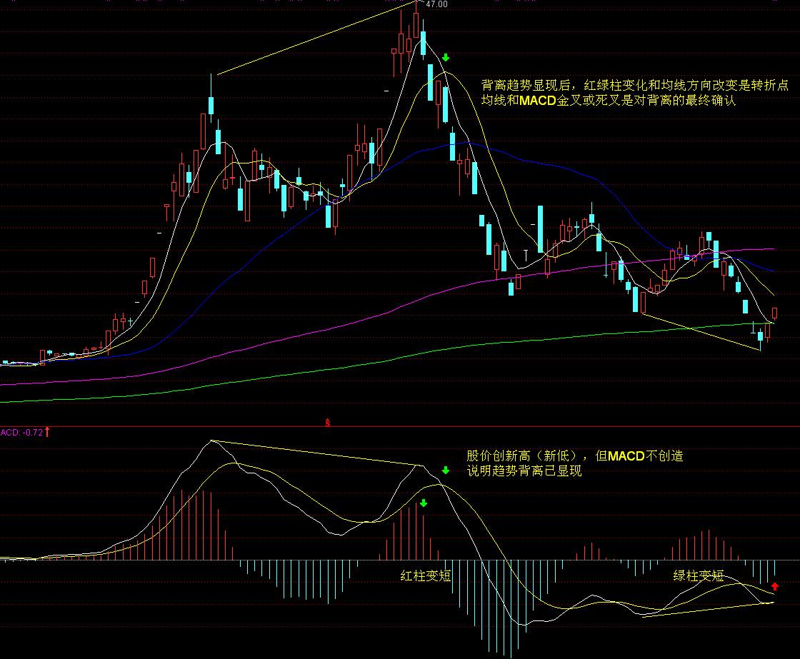 微软(MSFT.US)AI变现引擎全开！Q4完美业绩引发股价飞涨，华尔街称增长潜力被低估